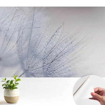 Macro de picături pe fibrele de păpădie