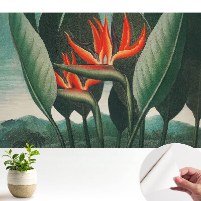 Plante exotice pe fundal verde