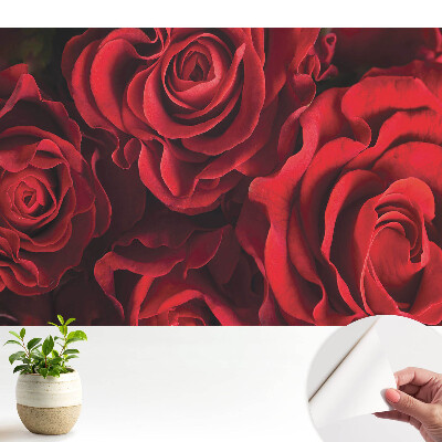 Trandafiri roșii armonios de eleganți