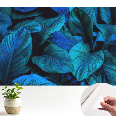 Frunze albastre, adâncime naturală