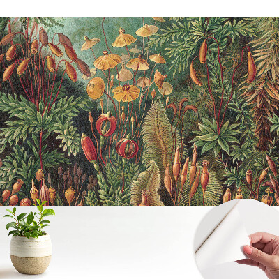 Vegetație exotică într-o compoziție armonioasă