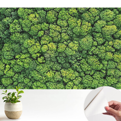 Pădurea verde văzută de sus