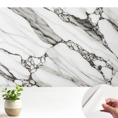 Vene negre pe fundal de piatră albă