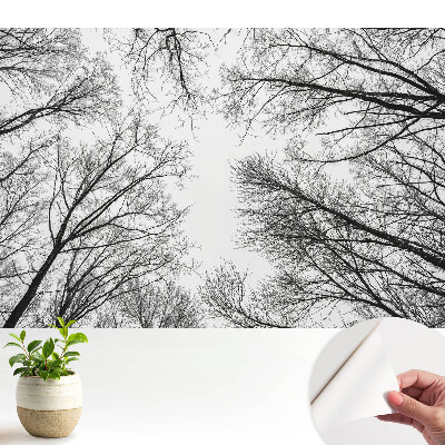 Copaci de iarnă alb-negru