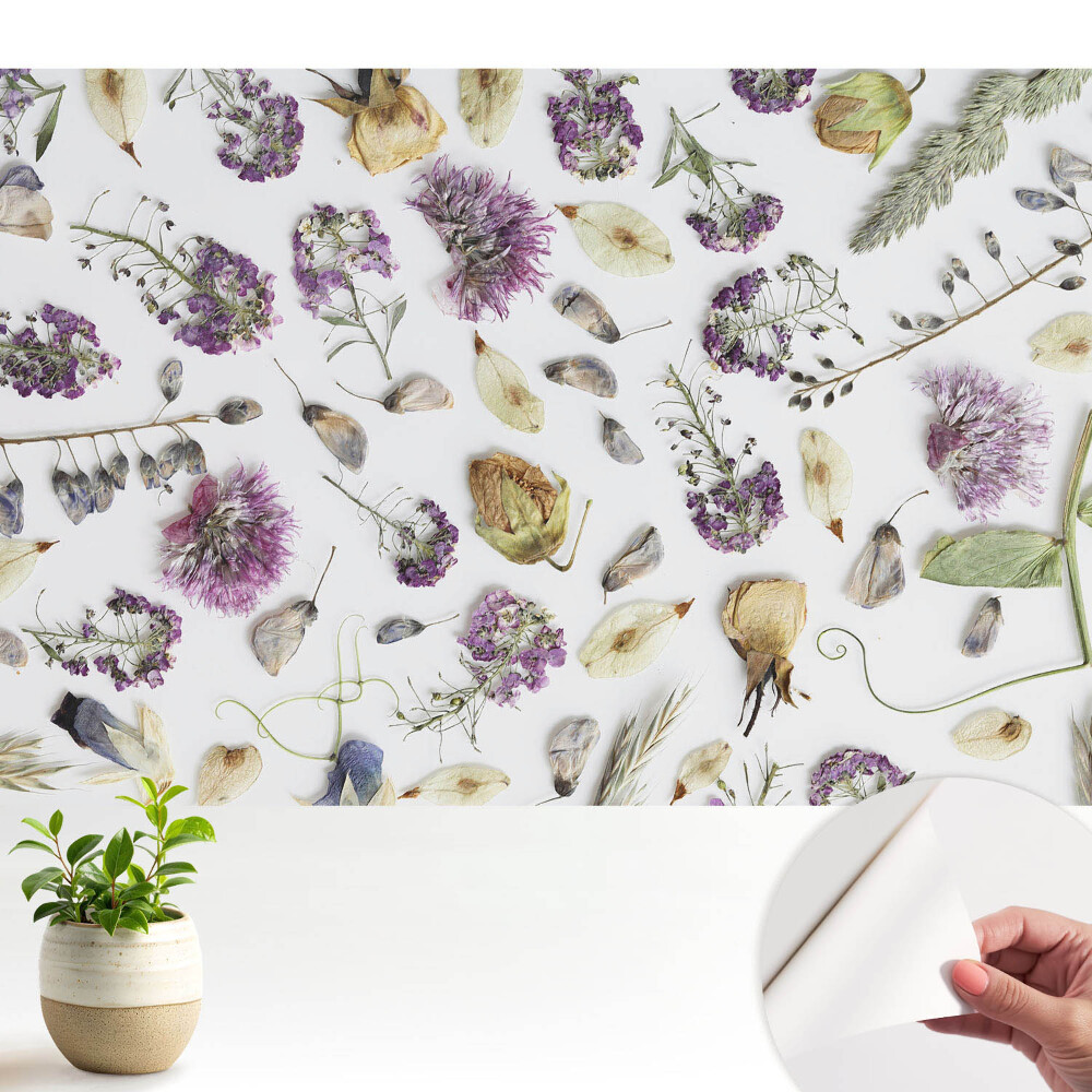 Flori uscate pe fundal alb