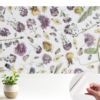 Flori uscate pe fundal alb