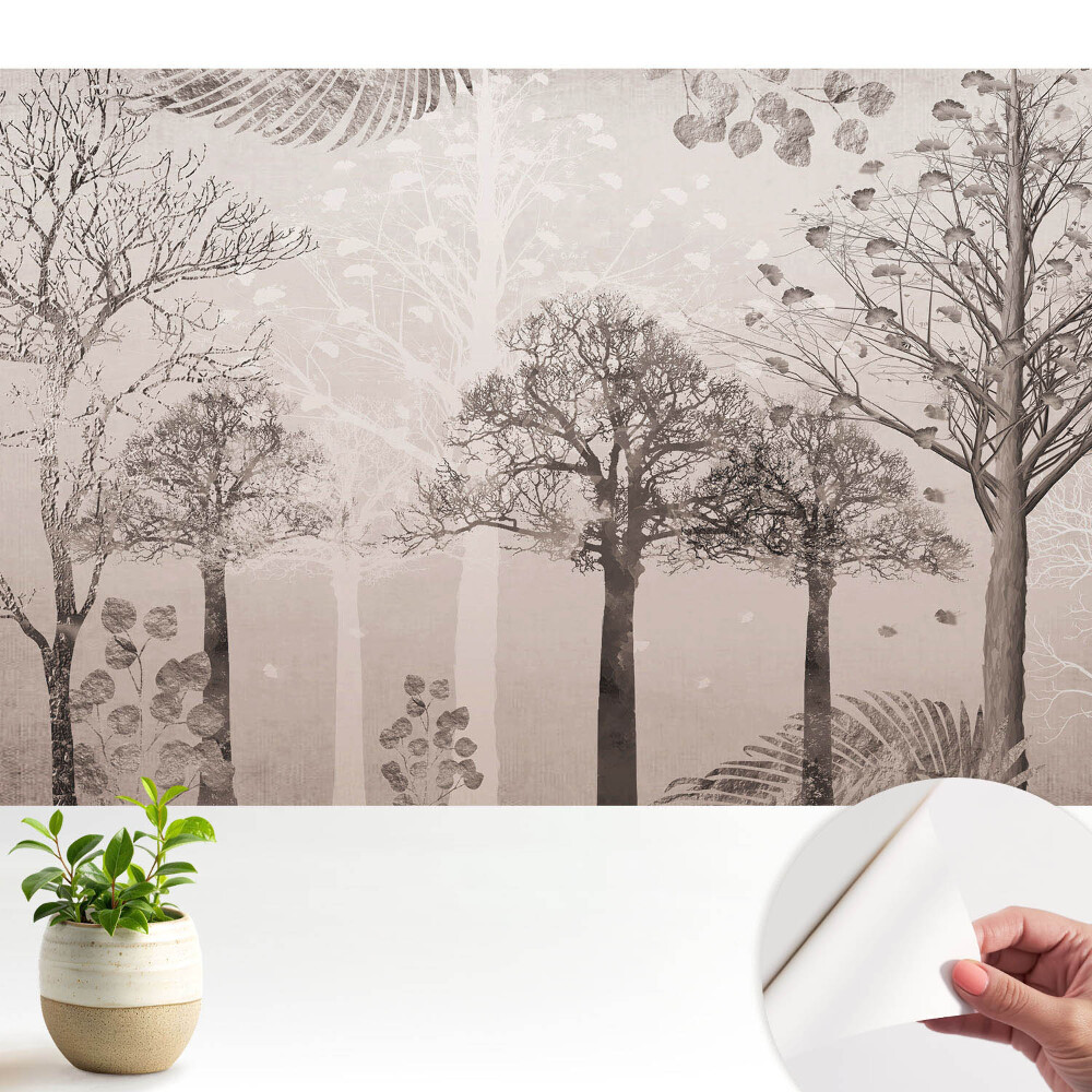 Peisaj forestier liniștitor