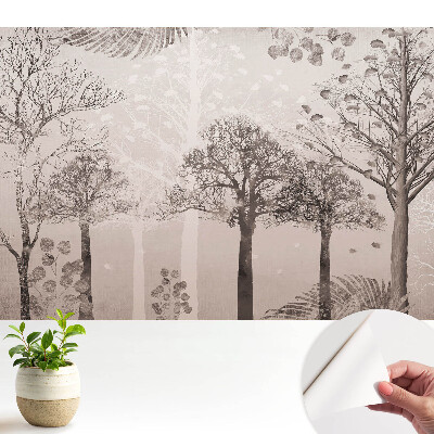 Peisaj forestier liniștitor