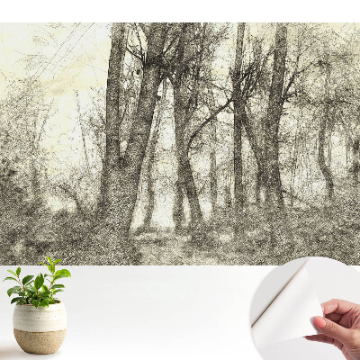 Peisaj atmosferic al pădurii