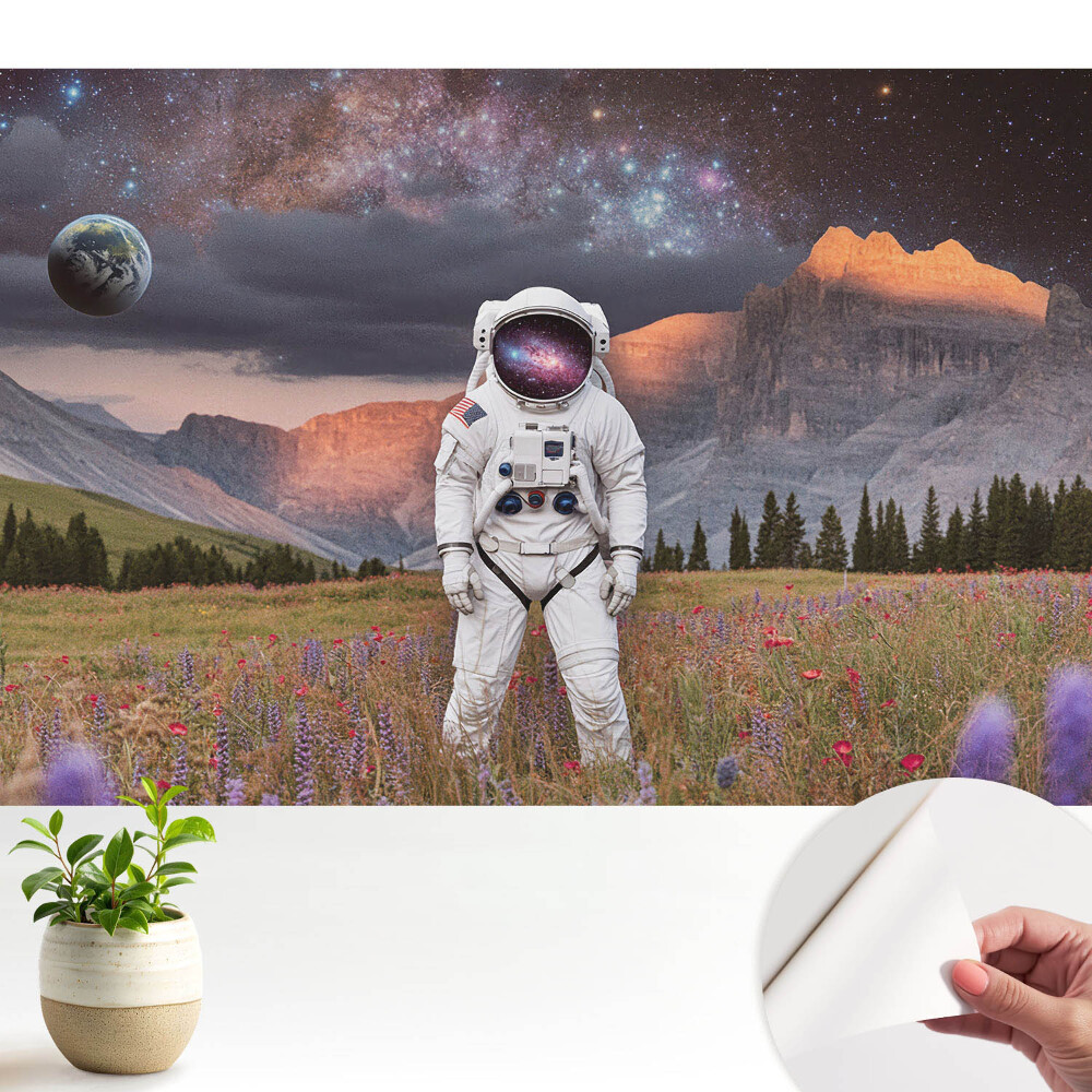 Astronautul suprarealist în munți