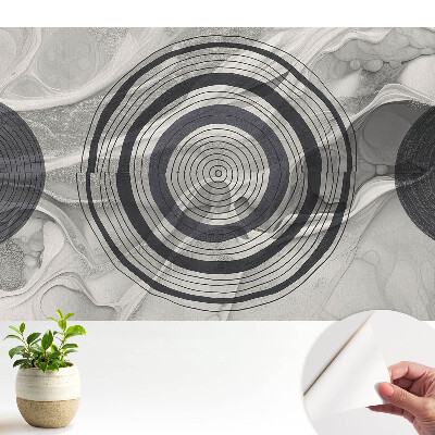 Abstracție tonală cu cercuri concentrice