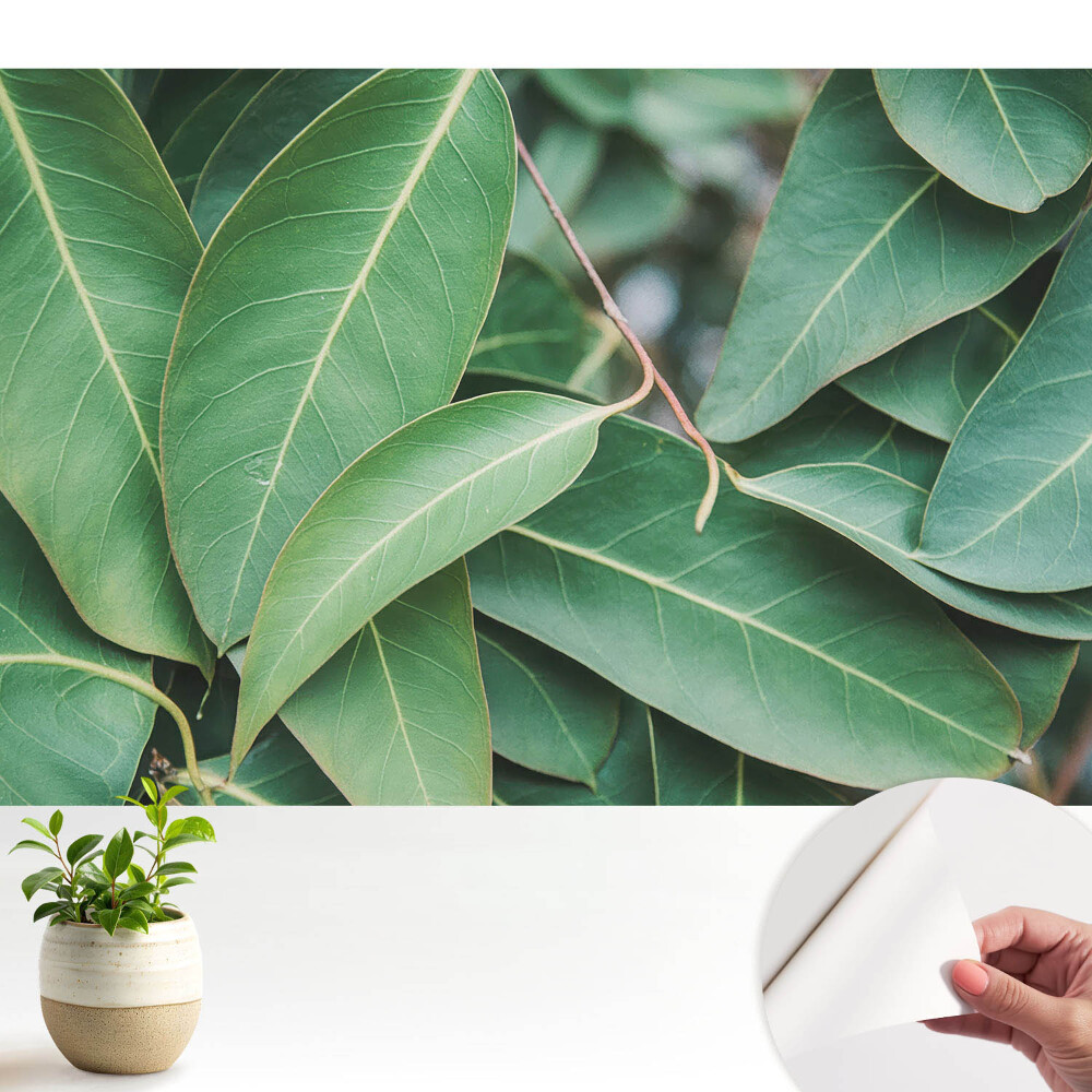 Armonie minimalistă a frunzelor verzi