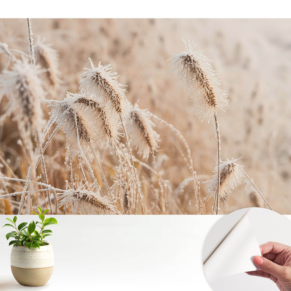 Îngheț pe iarbă frumusețea iernii natură