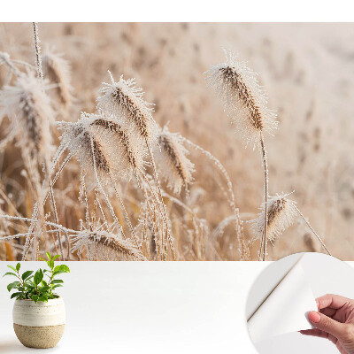 Îngheț pe iarbă – tablou cu tema «frumusețea iernii» în stil natural