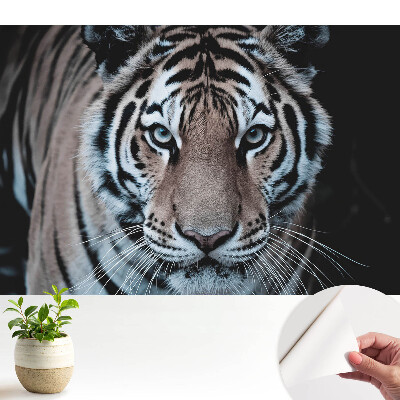 Compoziție dinamică magnetizantă a tigrului