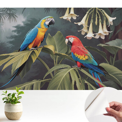 Papagali tropicali în culori exotice