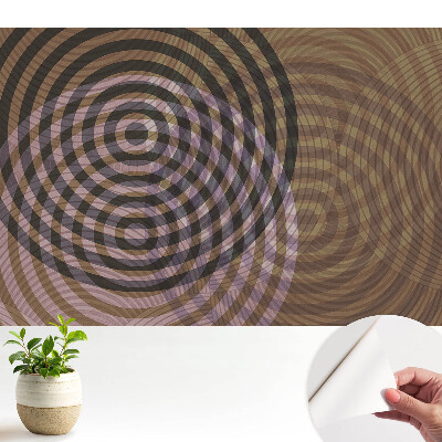 Cercuri concentrice în design retro-modern