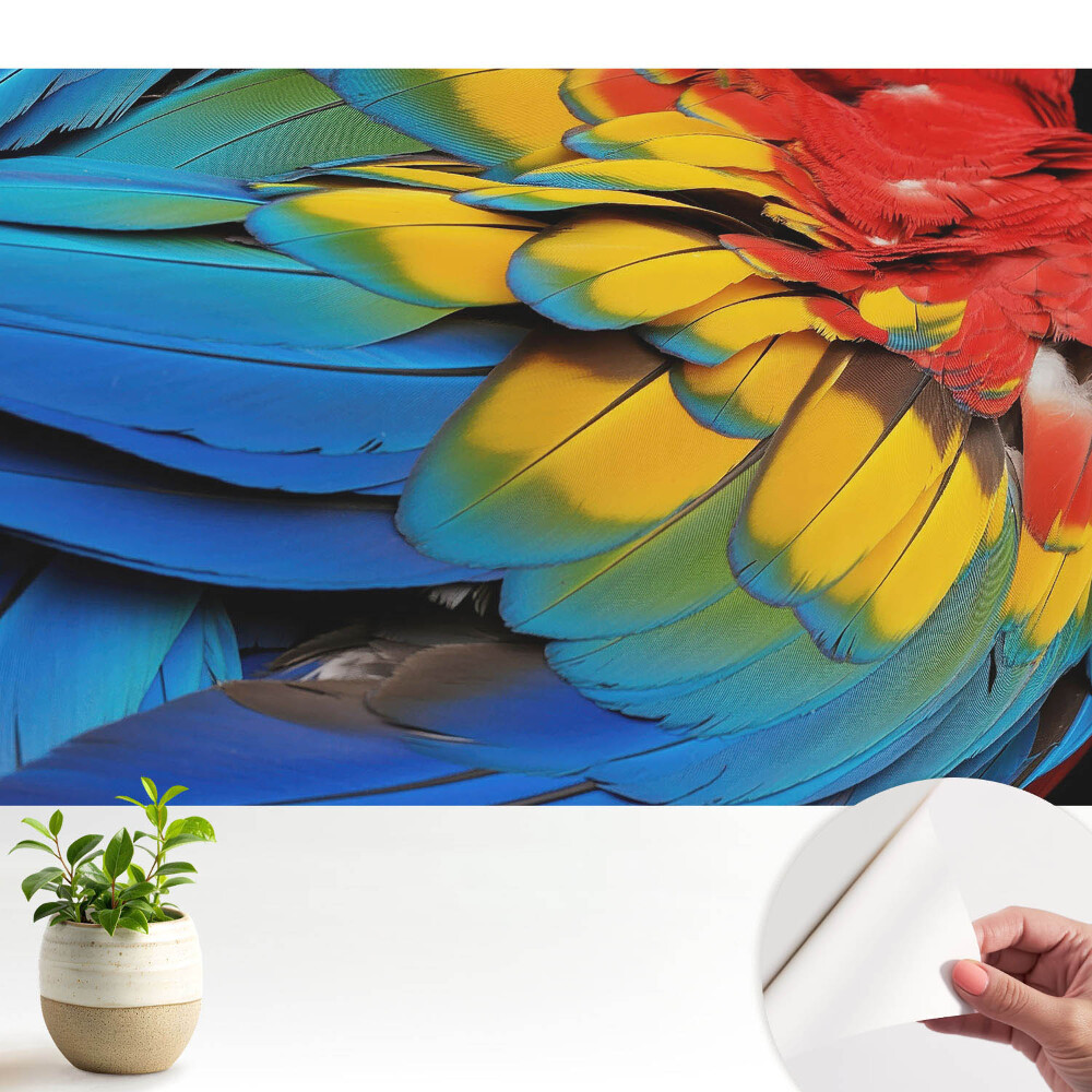 Un mozaic energic de pene colorate