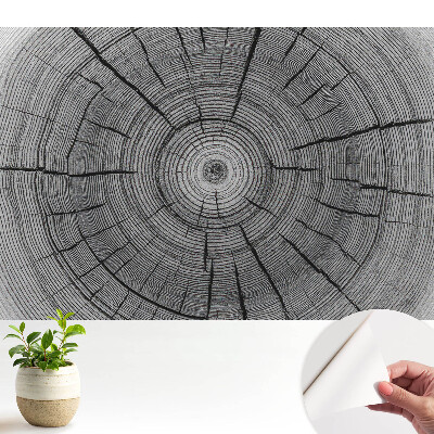 Compoziție simetrică cu cercuri de lemn