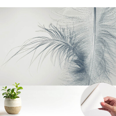 Motivul delicat al penei, ușurința și armonia