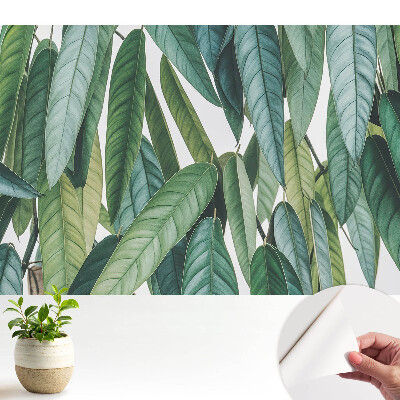 Frunze verzi în stil minimalist, temă natură