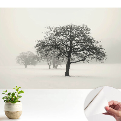 Copaci în peisaj de iarnă cu ceață