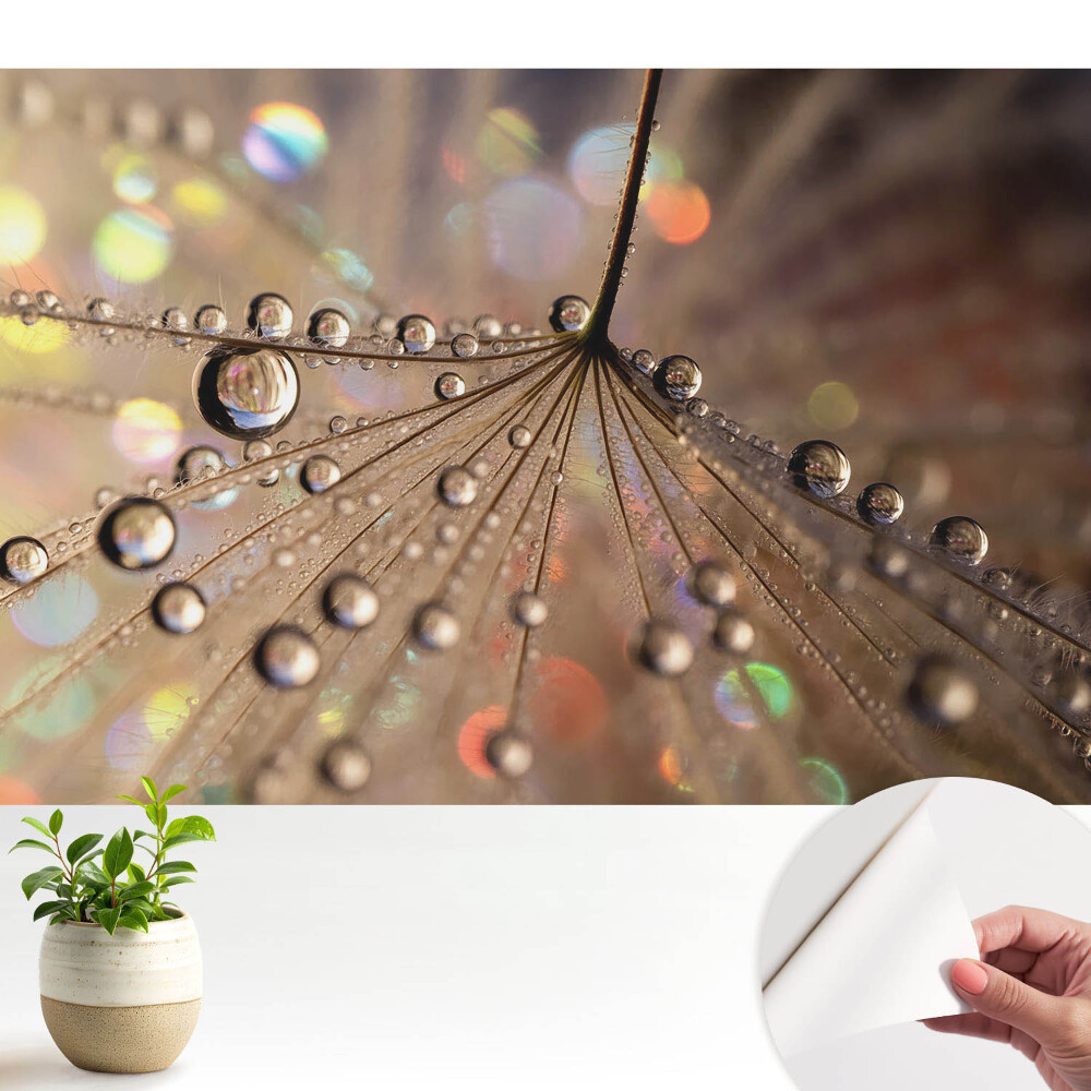 Structura delicată a picăturilor împrăștiate pe fundal