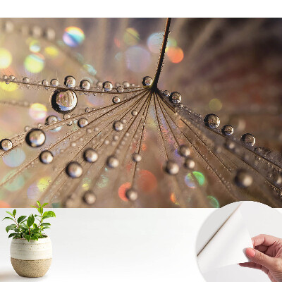 Structura delicată a picăturilor împrăștiate pe fundal