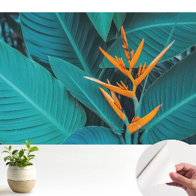 Motiv vegetal exotic