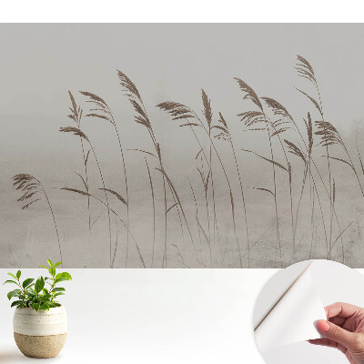 Fire subtile de iarbă într-o aură cețoasă