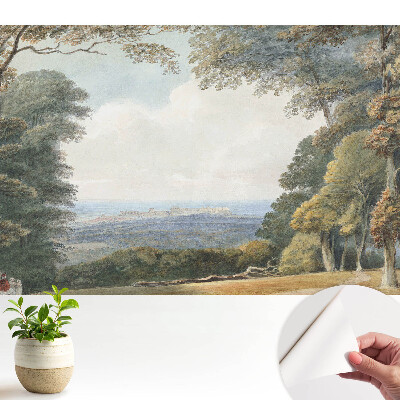 Peisaj lângă pădure, vedere asupra orașului