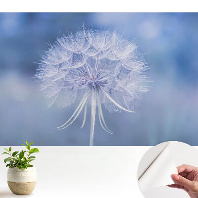 Păpădie în tonuri de albastru