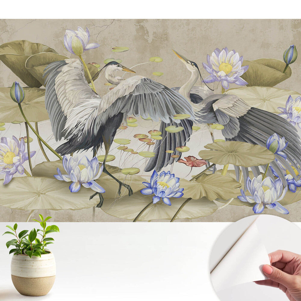 Macarale în jurul nuferilor într-un stil clasic