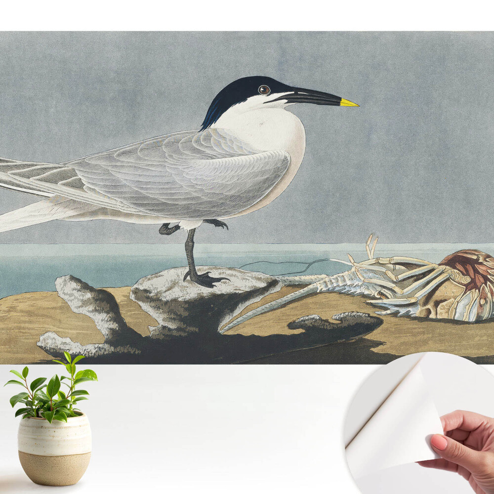 O pasăre elegantă pe fundalul mării