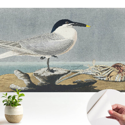 O pasăre elegantă pe fundalul mării