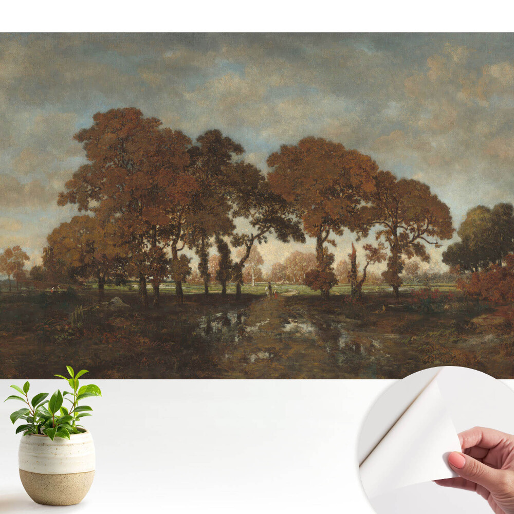 Copaci de toamnă într-un peisaj rustic