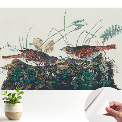 Păsări printre verdeață