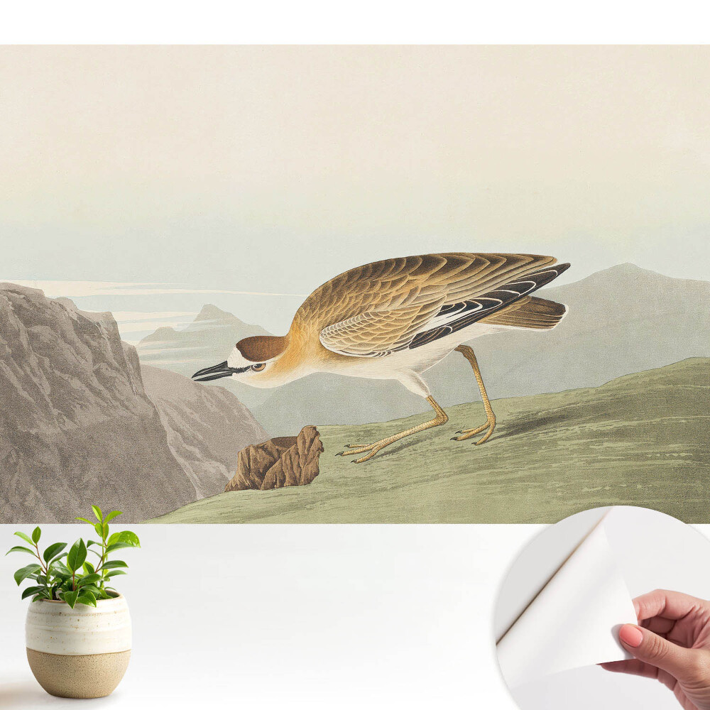 O pasăre pe versantul muntelui