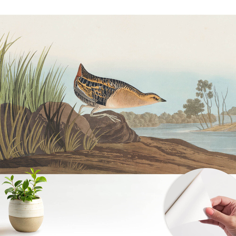 O pasăre deasupra apei într-un stil clasic