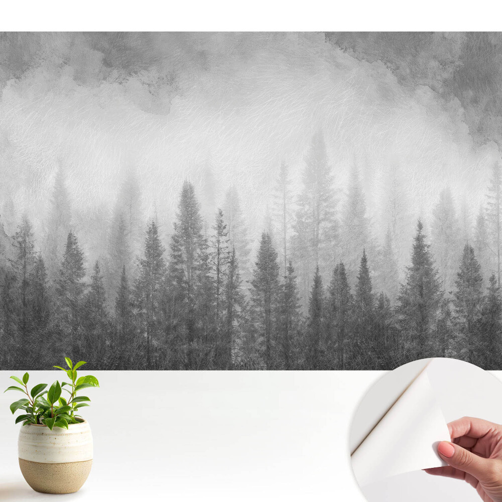 Pădurea misterioasă în ceață