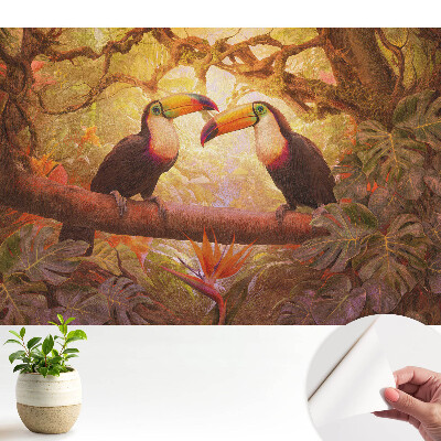 Tucanii din tropice — o armonie a exotismului