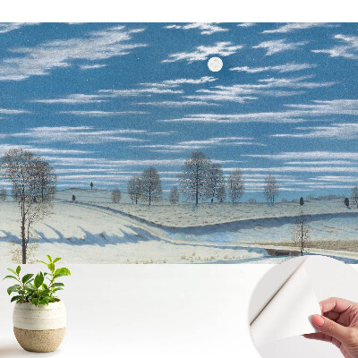 Un peisaj mohorât de iarnă sub lună