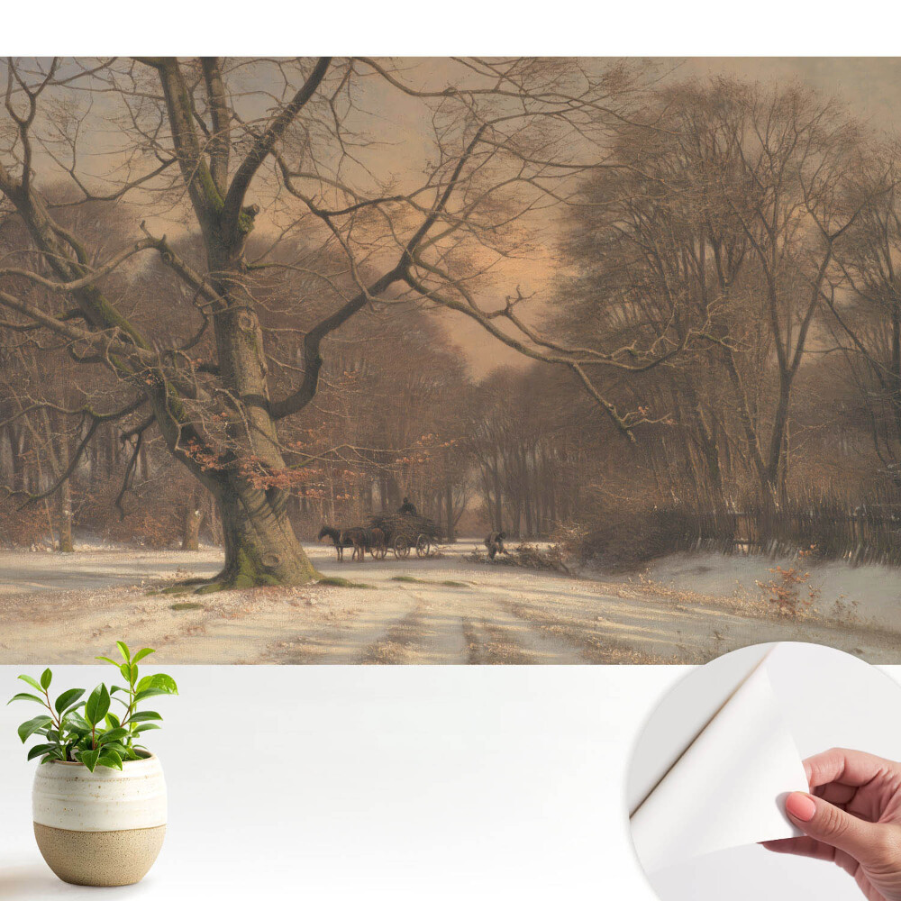 Pădure de iarnă pace natură