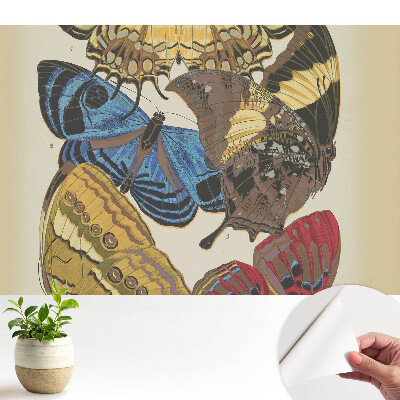 Fluturi colorați într-o compoziție elegantă