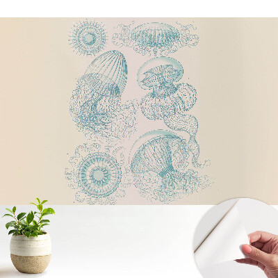 Desene subtile cu meduze marine