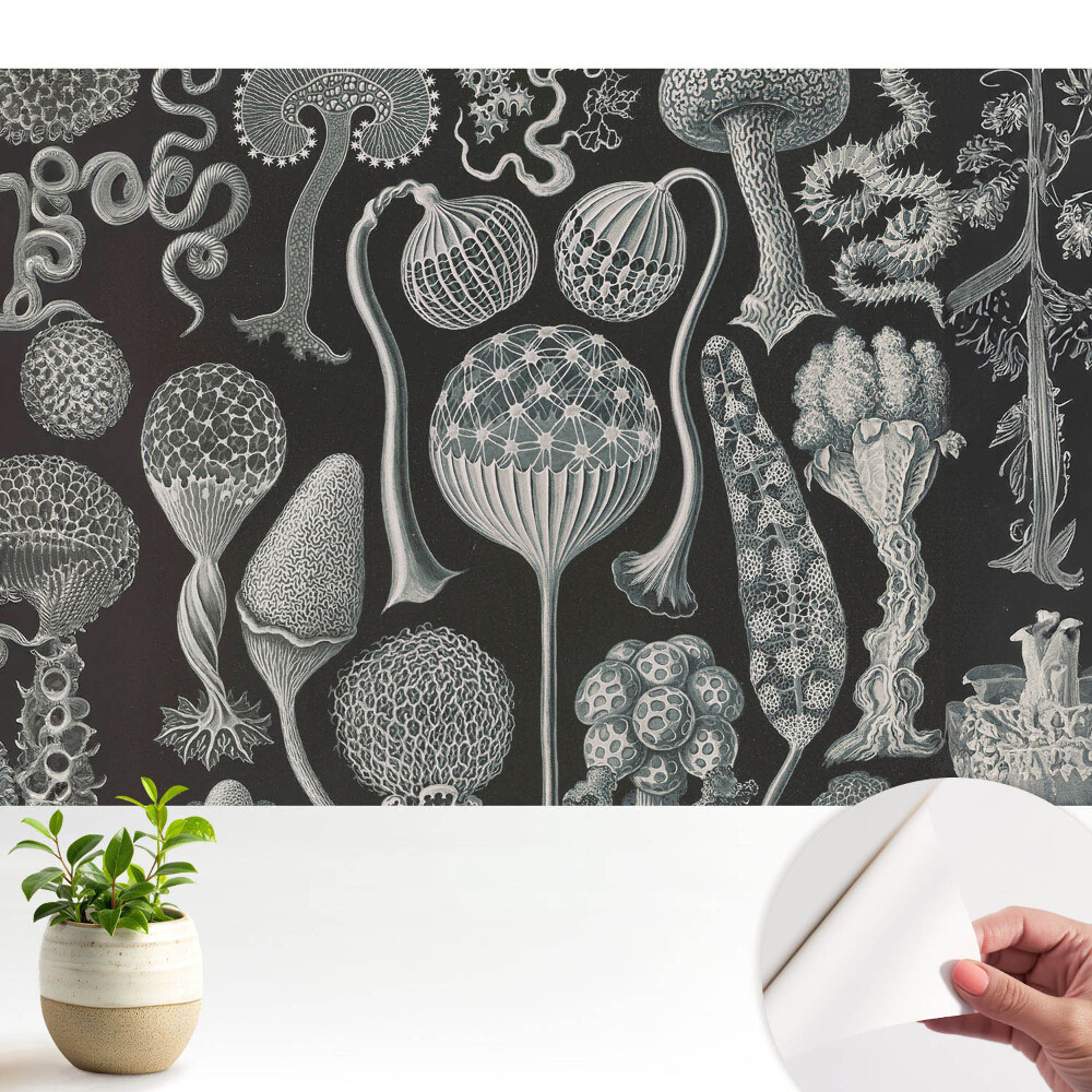 Forme organice fantastice în alb și negru