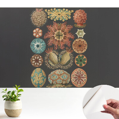 Forme marine abstracte într-un stil clasic