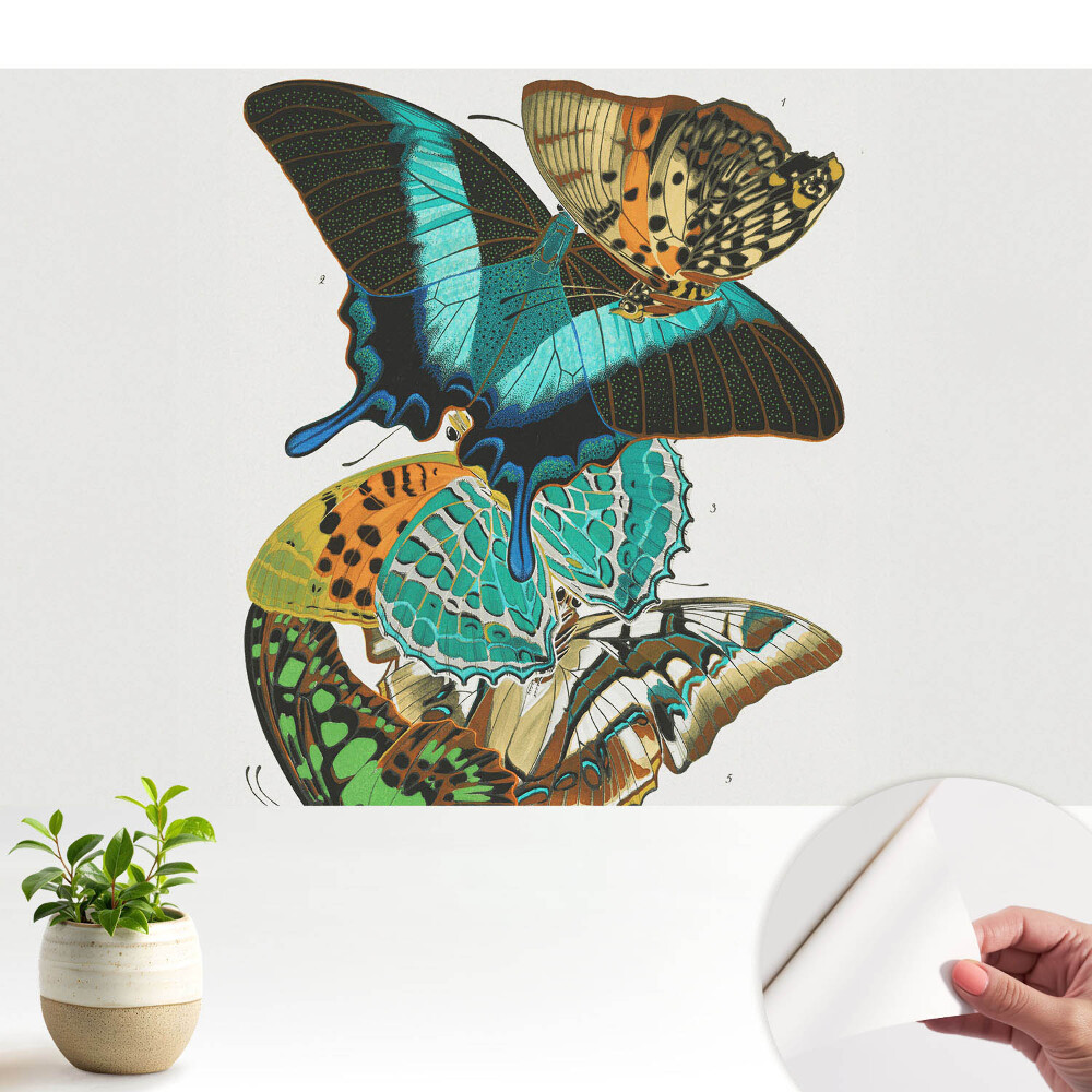 Fluturi colorați compoziție armonioasă clasică