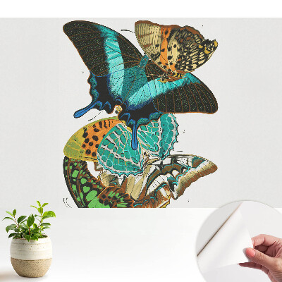 Fluturi colorați într-o compoziție armonioasă clasică