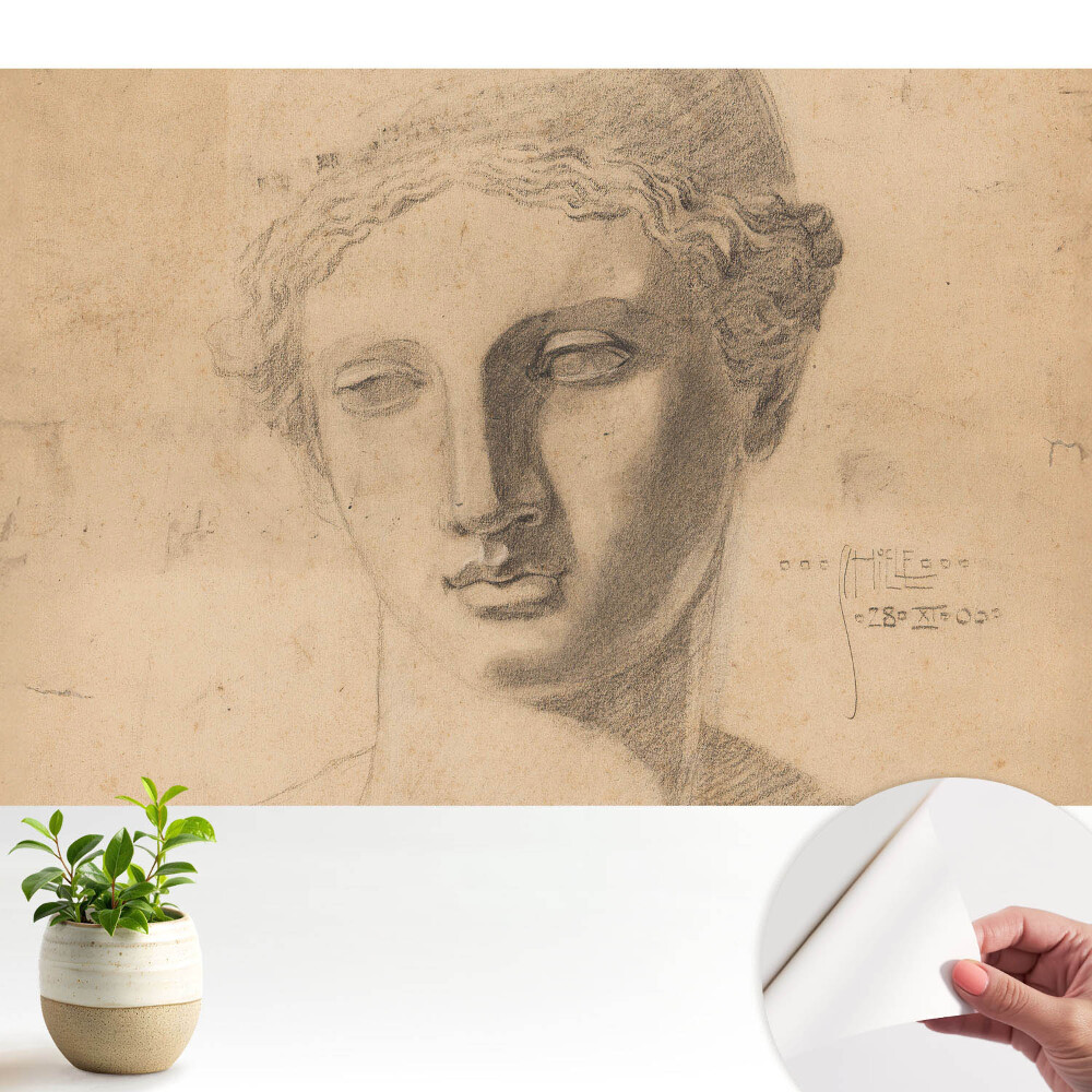 Grafică clasică a feței feminine